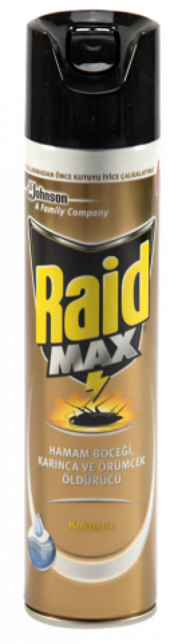 Raid Böceksavar Max 300 Ml