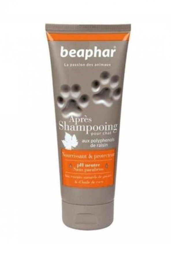 Beaphar Premium Kedi Şampuanı