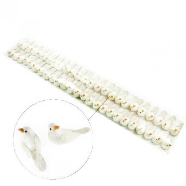 Kuş Minik Simli Beyaz 50 Adet - 2