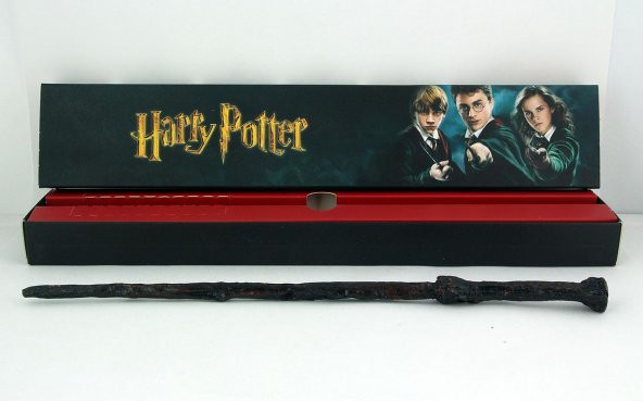Harry Potter Asa Kutulu Model