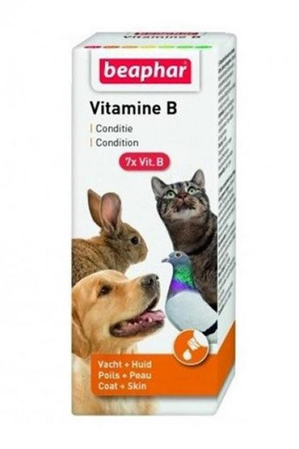 Beaphar Kedi Köpek ve Kuş İçin B Vitamin 50 Ml