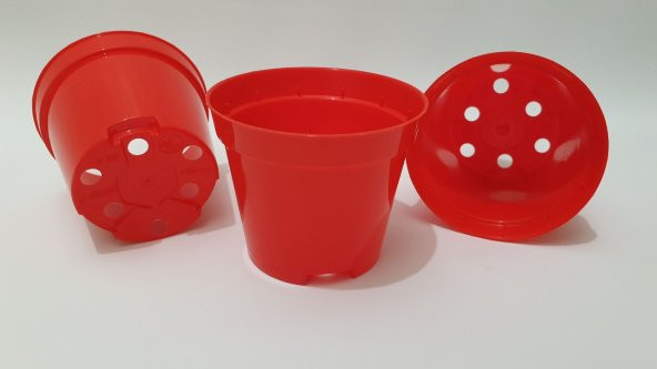 8 CM Sukulent - Menekşe Saksısı Renkli 50 adet - 9