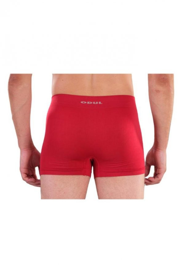 ÖDÜL 2073 ERKEK BOXER BORDO - 2