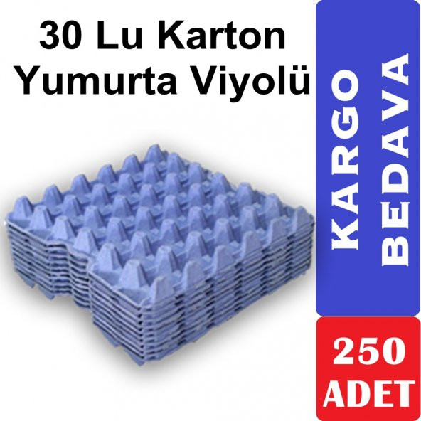 30'Lu Karton Yumurta Viyolü - 250 Adet ( Viyol, Kolisi, Kabı, Kartonu )