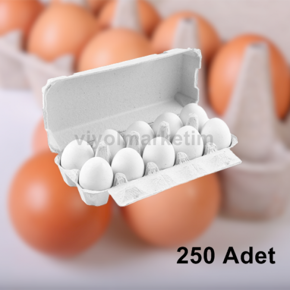 10'lu Kapaklı Karton Yumurta Viyolü (250 adet)