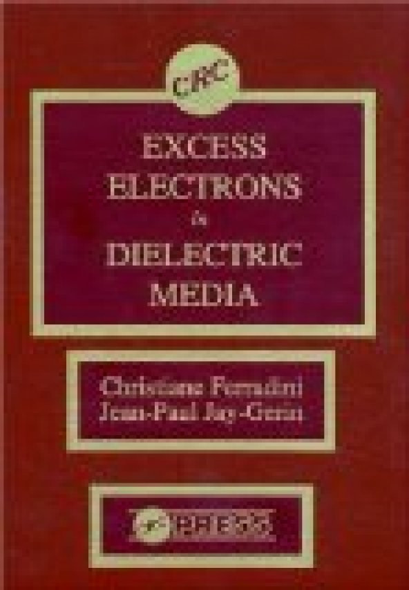 Excess Electrons in Dielectric Media