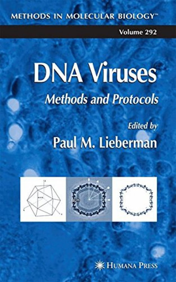 Dna Viruses: Methods And Protocols