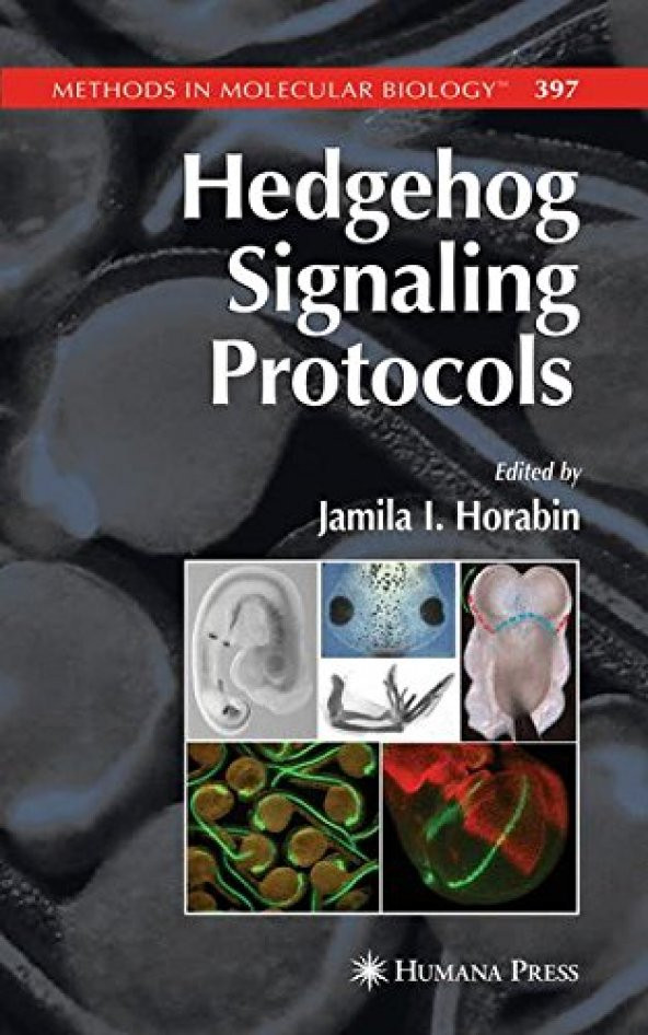 Hedgehog Signaling Protocols (Methods in Molecular Biology)