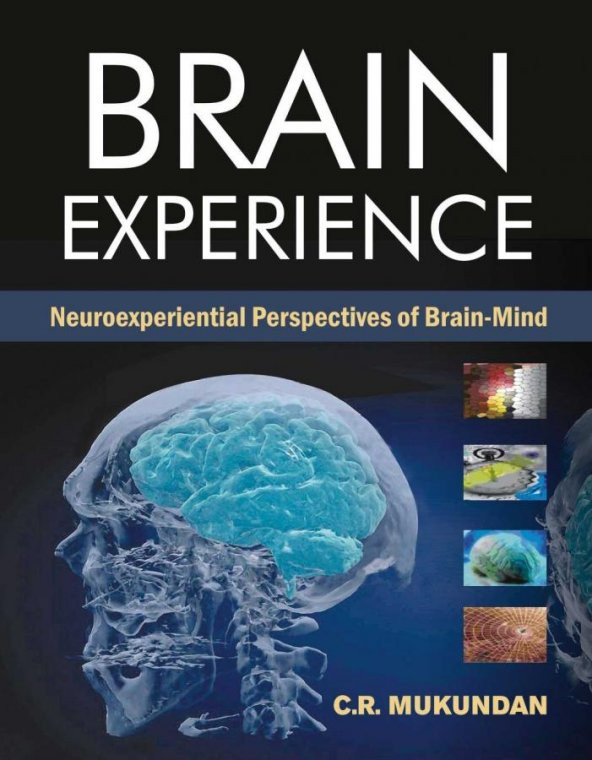 Brain Experience Neuroexperiental Perspectives Of Brain-Mind