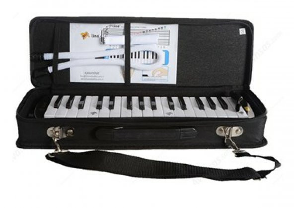 MELODİKA TİCON - 2