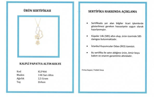 Kalpli Papatya Altın Kolye - 7