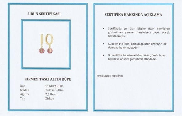 Kırmızı Taşlı Altın Küpe - 6