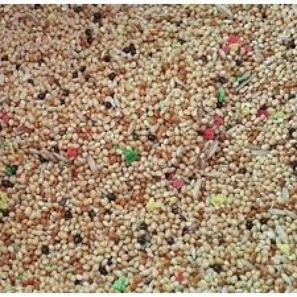 Muhabbet Kuşu Yemi 10 kg - 2