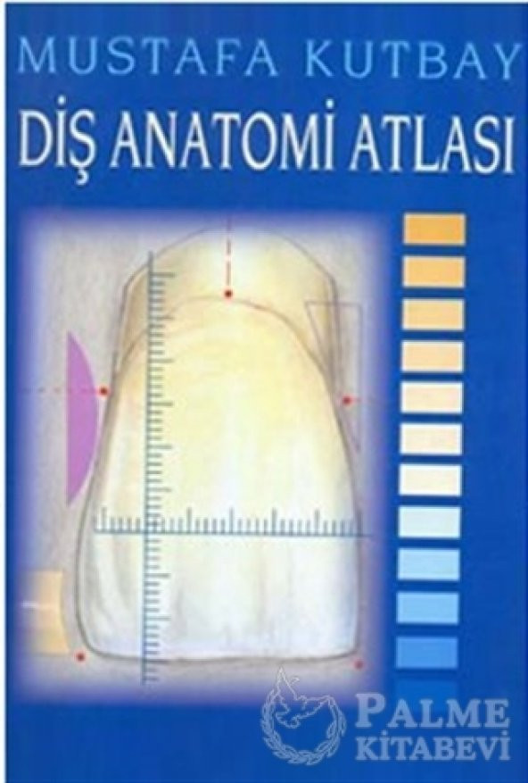 Diş Anatomi Atlası Palme Kitabevi