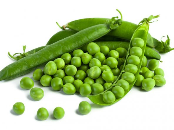 YENİ MAHSUL KABUKLU TURFANDA TAZE BEZELYE (1 KG.) - 3