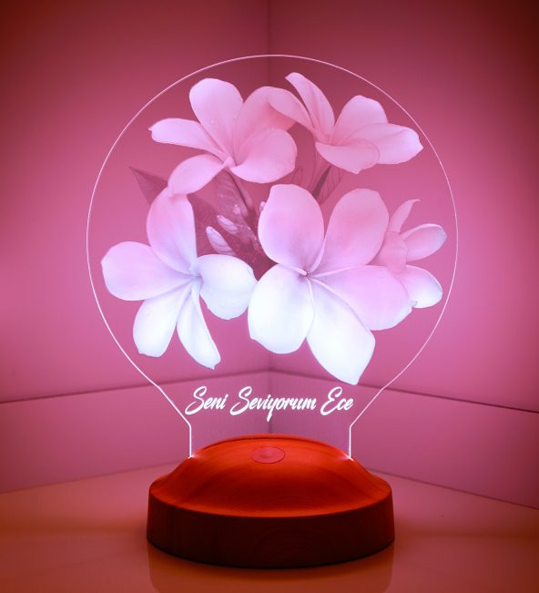 3D Led Lamba 3 Boyutlu Plumeria Çiçek Kişiye Özel Hediye