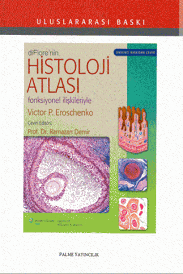 Difiorenin Histoloji Atlası Palme Kitabevi