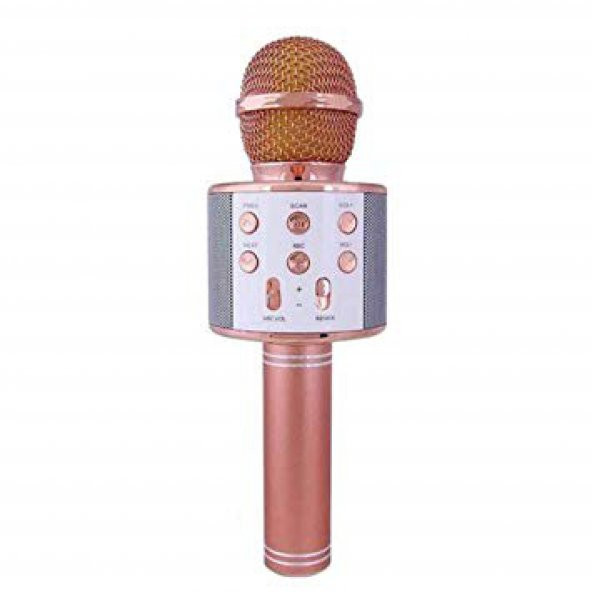 Bluetooth Karaoke Mikrofon Speaker Mp3 Çalar Kart Girişli WS 858 - 2