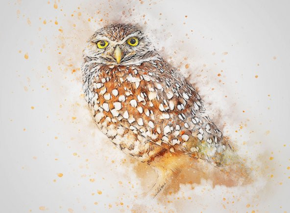 MR-012-14400 50 x 70 cm