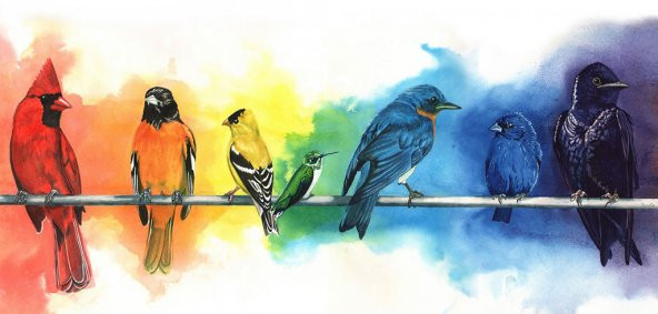 MR-012-12400 50 x 70 cm