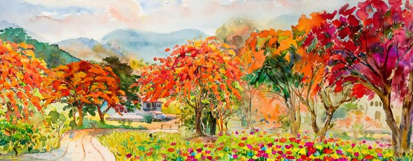 MR-017-22500 60 x 120 cm