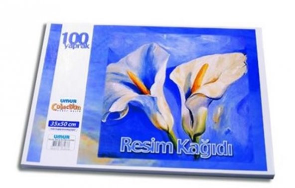 UMUR RESIM KAGIDI 35X50 100 LU (2096) - 2