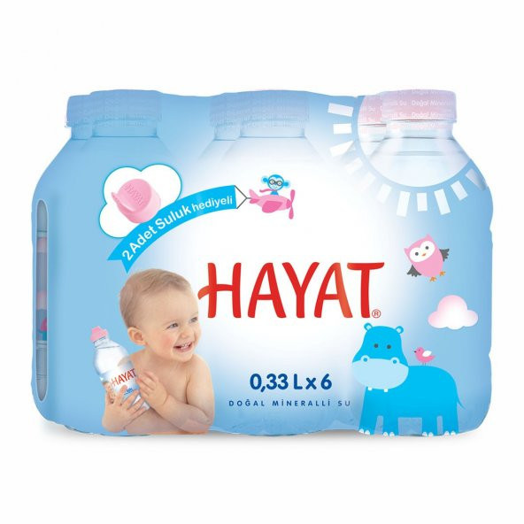 Hayat 0,33 ml Bebek Suyu (36 Adet)