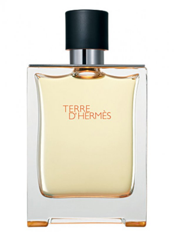 Hermes Terre D Hermes Edt Erkek Parfüm 100 ml - 2