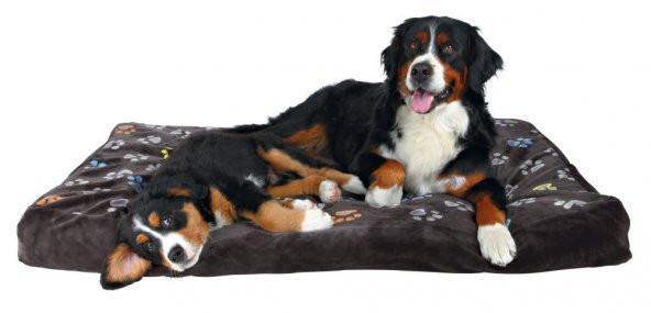 Trixie köpek yatağı 60x40cm, pati desenli gri