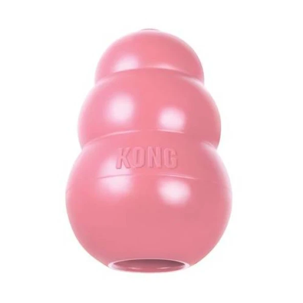 Kong Puppy Yavru Köpek Large (Büyük Irk) 10cm - 2