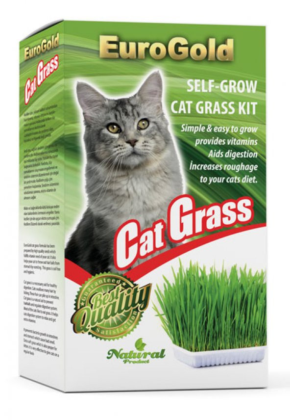 EuroGold Cat Grass Yüksek Kaliteli Kedi Çimi Kediniz İçin Özel Seçilmiş Hijyenik Topraksız Kaliteli Tohumlar