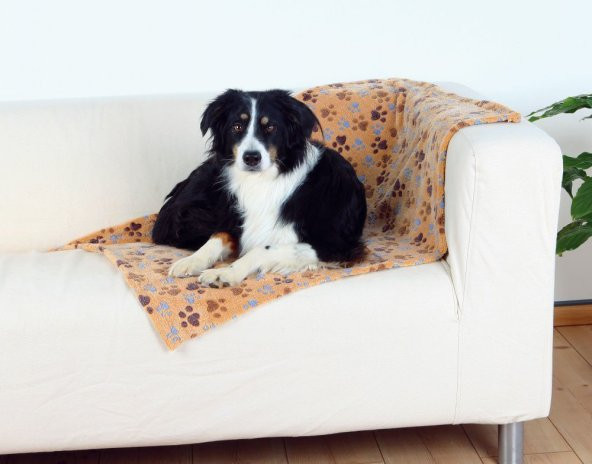 Trixie köpek battaniye, 100×70cm, bej