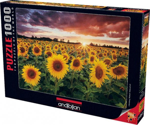 Günbatımında Ayçiçekleri 1000 Parça Puzzle