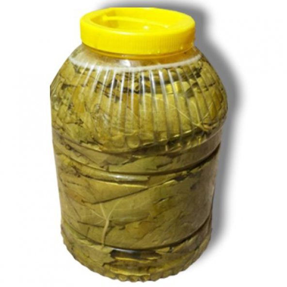 Salamura Asma Yaprağı 5 kg. lık pet - Doğal Ürün
