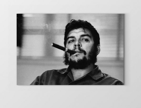 Che Guevara ve Puro Tablosu