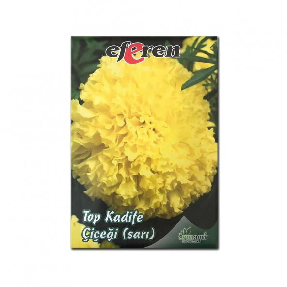 Sarı Top Kadife Çiçeği Tohumu