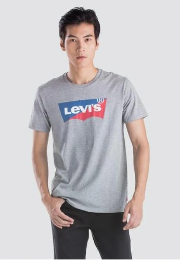 Levi's Erkek Graphic Housemark T-shirt 22489-0164