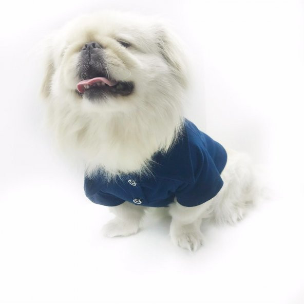 Navy Blue Polo Yaka Tişört  Köpek Kıyafeti  Köpek Elbisesi