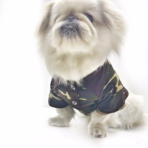 Kamuflaj Polo Yaka Tişört  Köpek Kıyafeti  Köpek Elbisesi