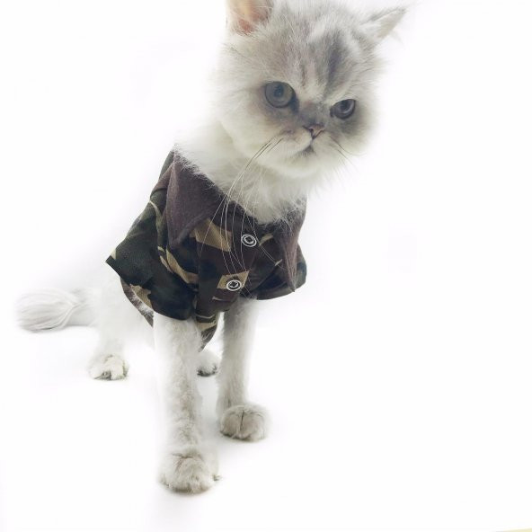 Kamuflaj Polo Yaka Tişört Kedi Kıyafeti  Kedi Elbisesi - 5