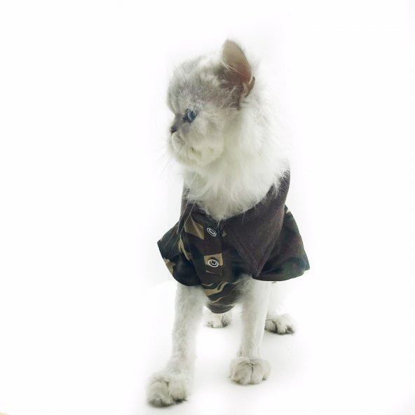 Kamuflaj Polo Yaka Tişört Kedi Kıyafeti  Kedi Elbisesi - 7