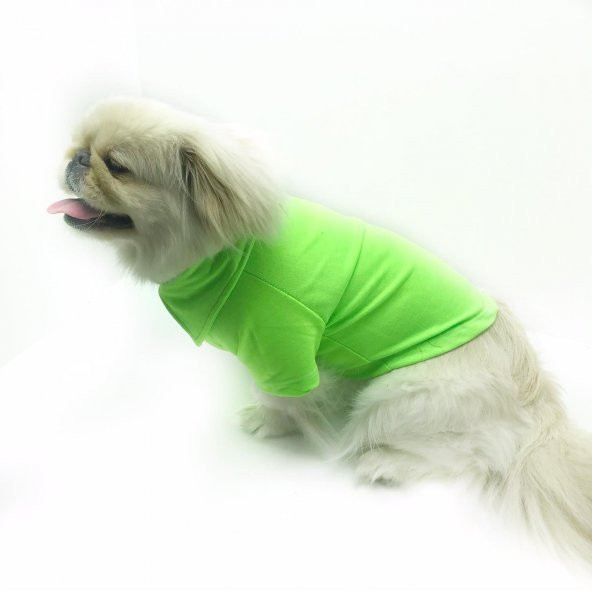 Fosforlu Yeşil Polo Yaka Tişört  Köpek Kıyafeti  Köpek Elbisesi
