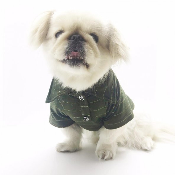 Army Shine Polo Yaka Tişört  Köpek Kıyafeti  Köpek Elbisesi