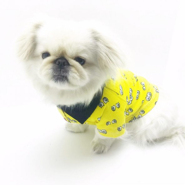 Göz Göz Yellow Polo Yaka Tişört  Köpek Kıyafeti  Köpek Elbisesi