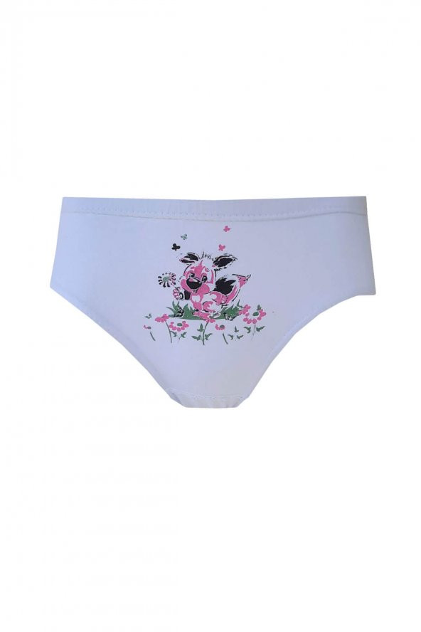 Seher Yıldızı İç Giyim Kız Çocuk Pamuklu Slip Külot 6 lı Paket - 3