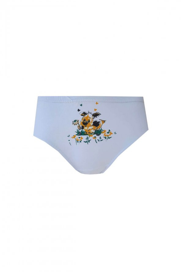 Seher Yıldızı İç Giyim Kız Çocuk Pamuklu Slip Külot 6 lı Paket - 4