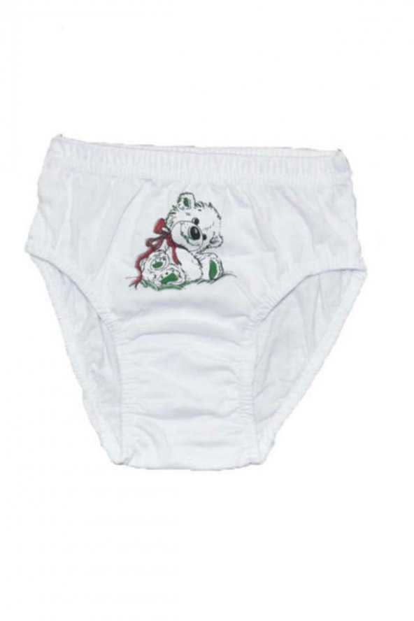 Seher Yıldızı İç Giyim Kız Çocuk Pamuklu Slip Külot 6 lı Paket - 6