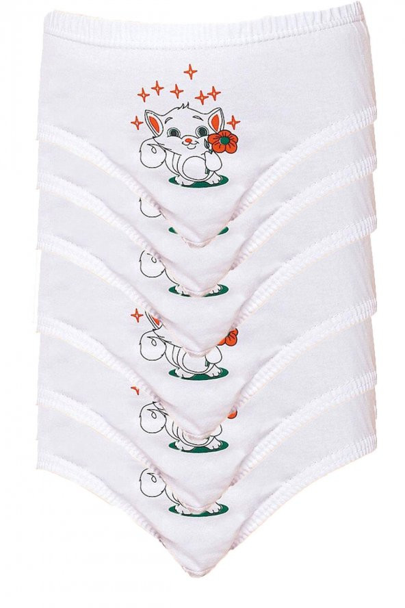 Seher Yıldızı İç Giyim Kız Çocuk Pamuklu Slip Külot 6 lı Paket - 9