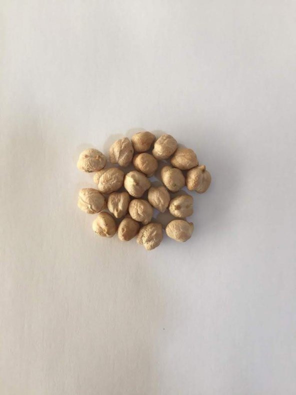 Nohut Kg. Yemeklik - 2