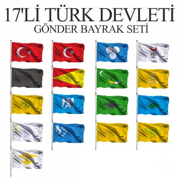 17 Li Türk Devletleri Seti 100x150